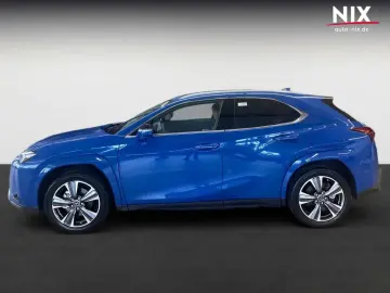 LEXUS UX 300e Entry   Luxury-Paket   HUD