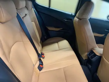 LEXUS UX 300e Entry   Luxury-Paket   HUD