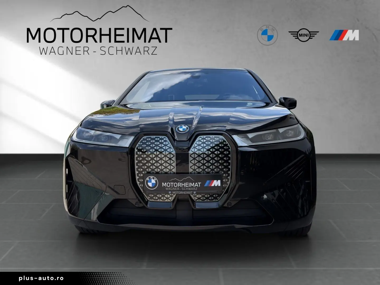 BMW iX xDrive40 Sportpaket Leder Amido SkyLounge 22