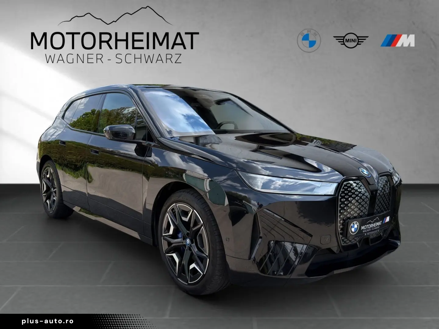 BMW iX xDrive40 Sportpaket Leder Amido SkyLounge 22