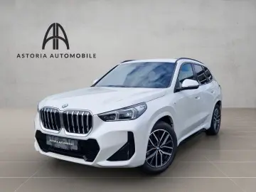 BMW X1 20 d xDrive M-Sport Hexacube DAB Kamera Alcan