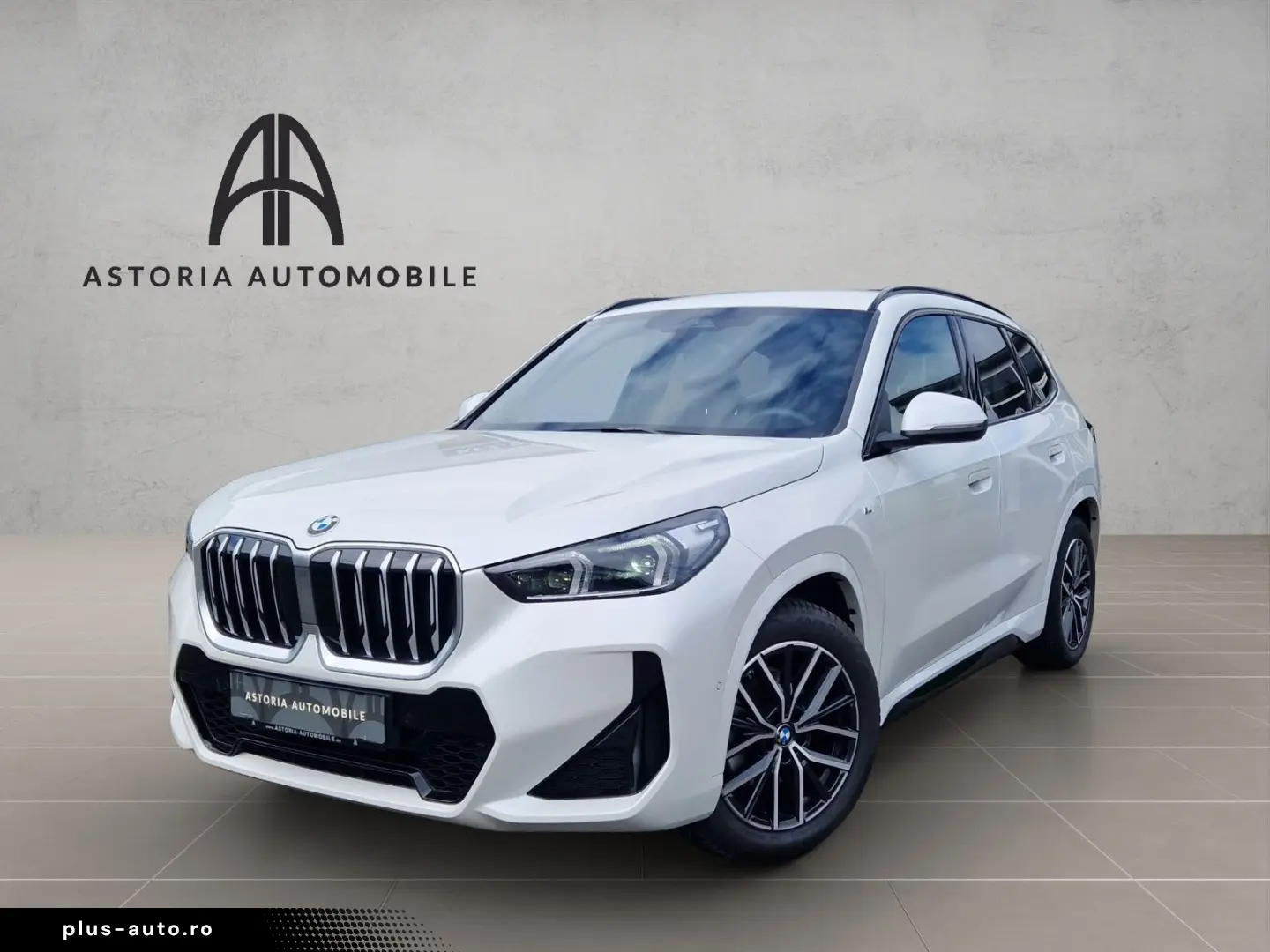BMW X1 20 d xDrive M-Sport Hexacube DAB Kamera Alcan