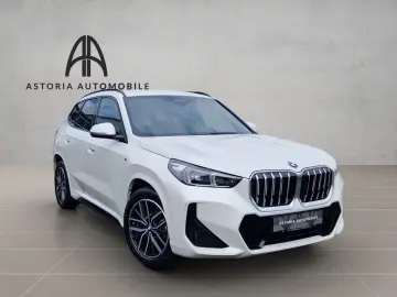BMW X1 20 d xDrive M-Sport Hexacube DAB Kamera Alcan