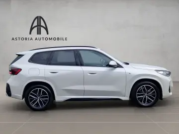 BMW X1 20 d xDrive M-Sport Hexacube DAB Kamera Alcan