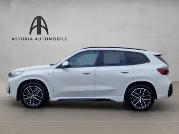 BMW X1 20 d xDrive M-Sport Hexacube DAB Kamera Alcan