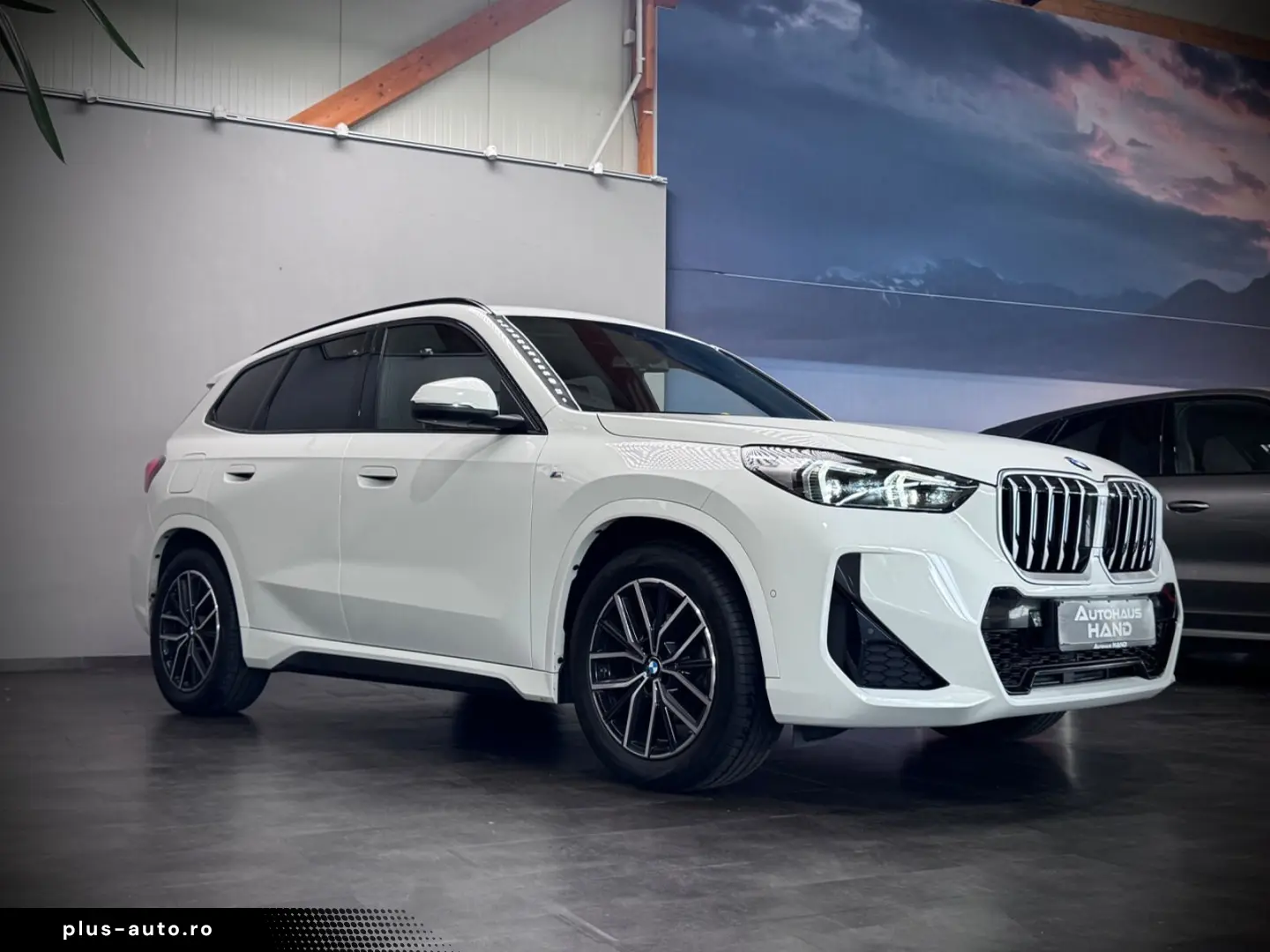 BMW X1 20d xDrive M-Sport Massage LED Pano Navi