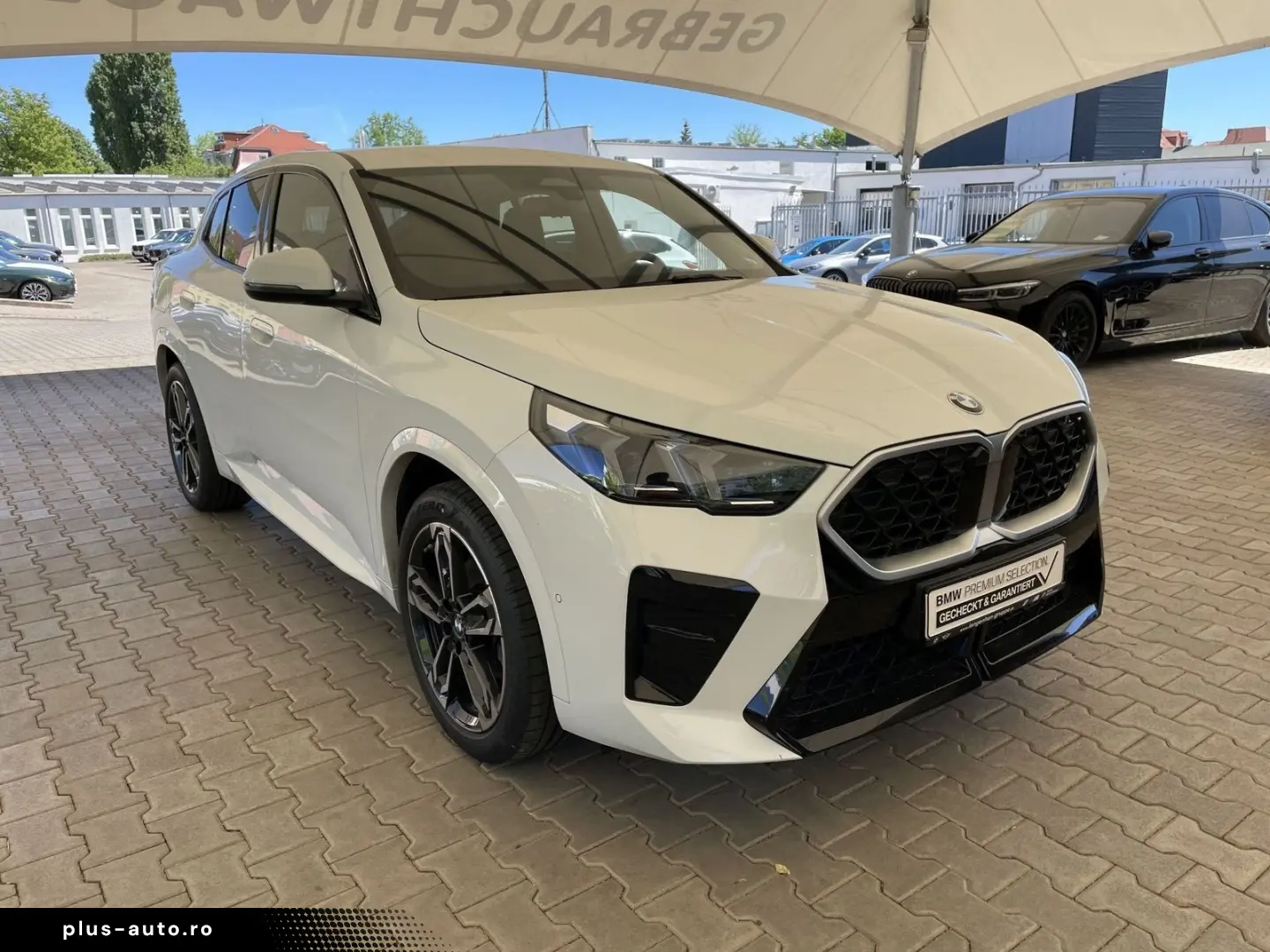 BMW X2 xDrive20d    M Sport LED LC Plus AHK Kamera M