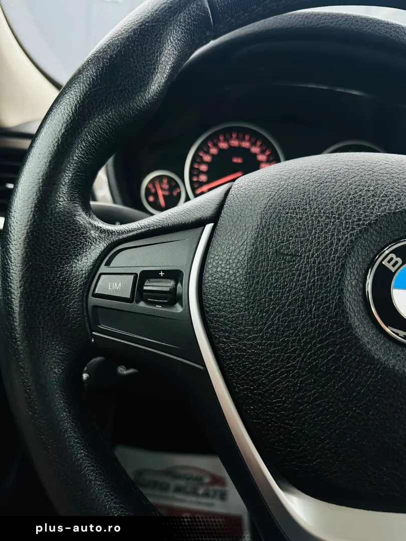 BMW 318d 2013 2.0D E5 Garantie 12 Luni Rate Avans 0 Doar Cu