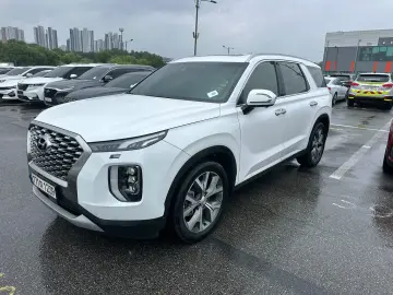Hyundai Palisade Transit  Garantie 36 de luni