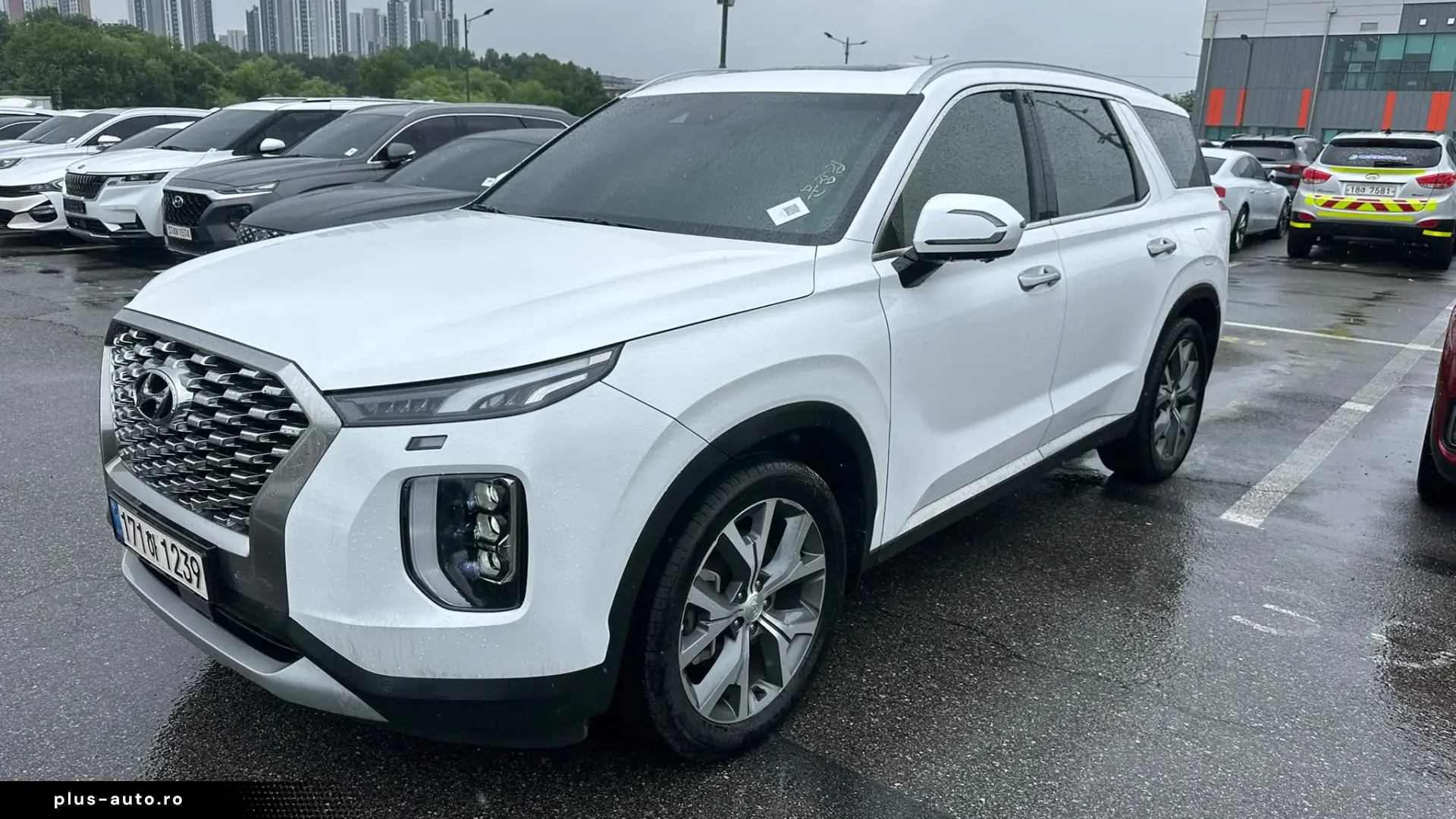 Hyundai Palisade Transit  Garantie 36 de luni
