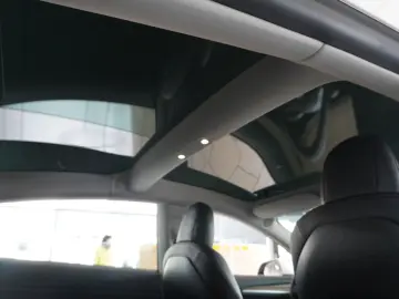 TESLA Model 3 LONGRANGE DUAL-MOTOR NAVI KAMERA DAB AMD