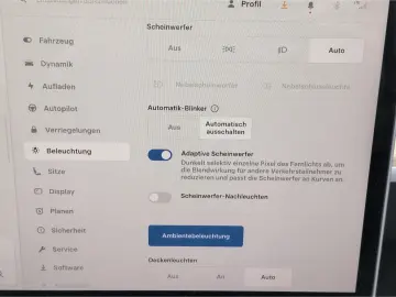 TESLA Model Y Performance Dual-AWD 534PS AHK Panodach