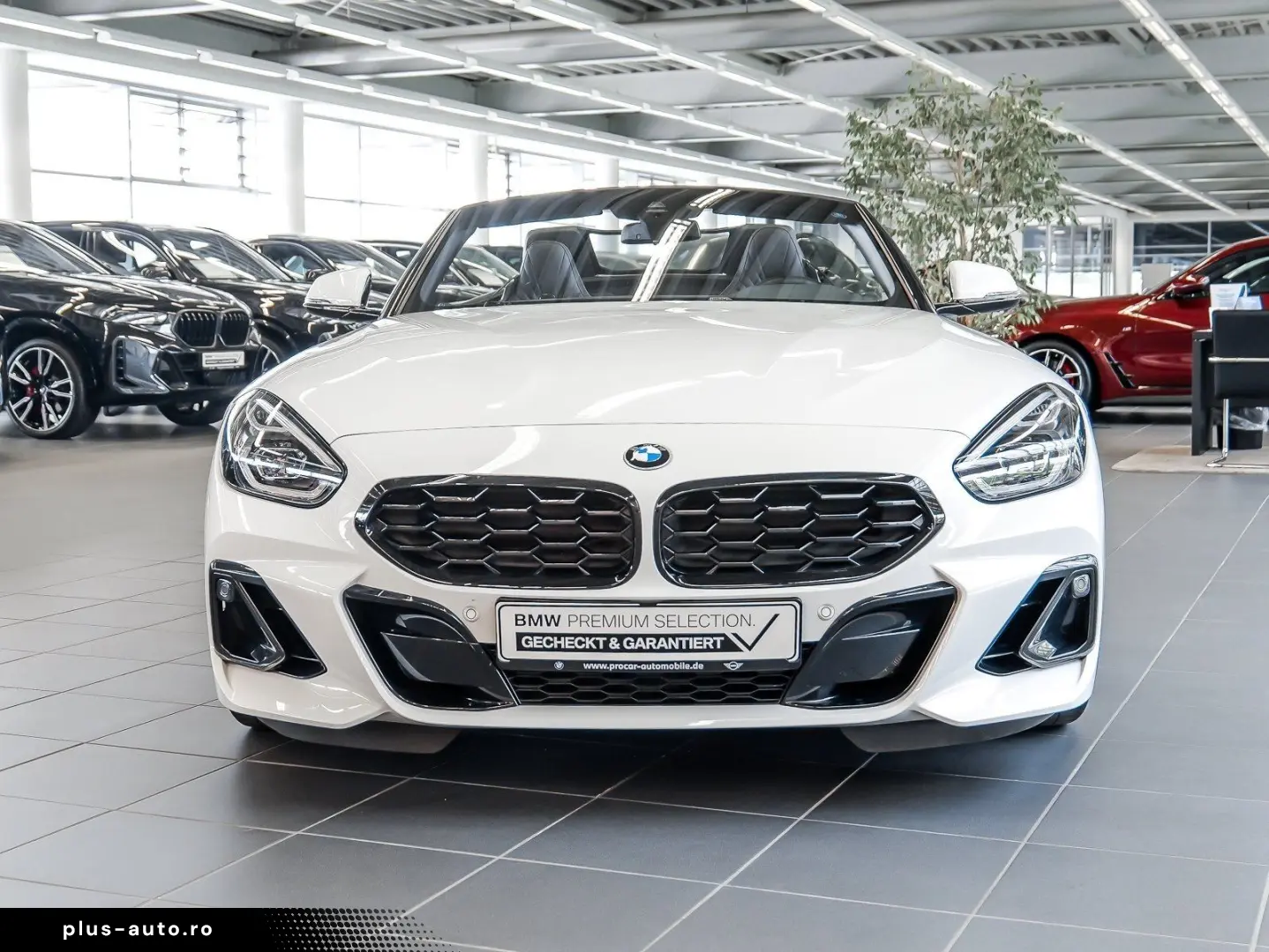 BMW Z4 sDrive20i M Sport ACC RFK NAVI LED PDC V H