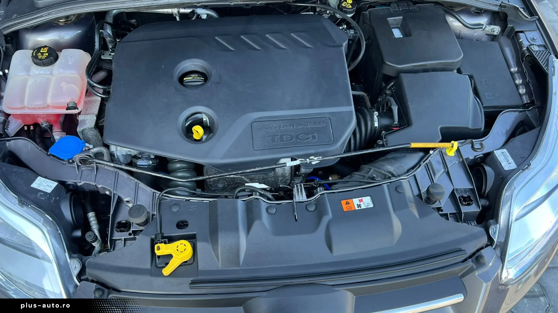 Ford Focus 1.6 TDCI Trend