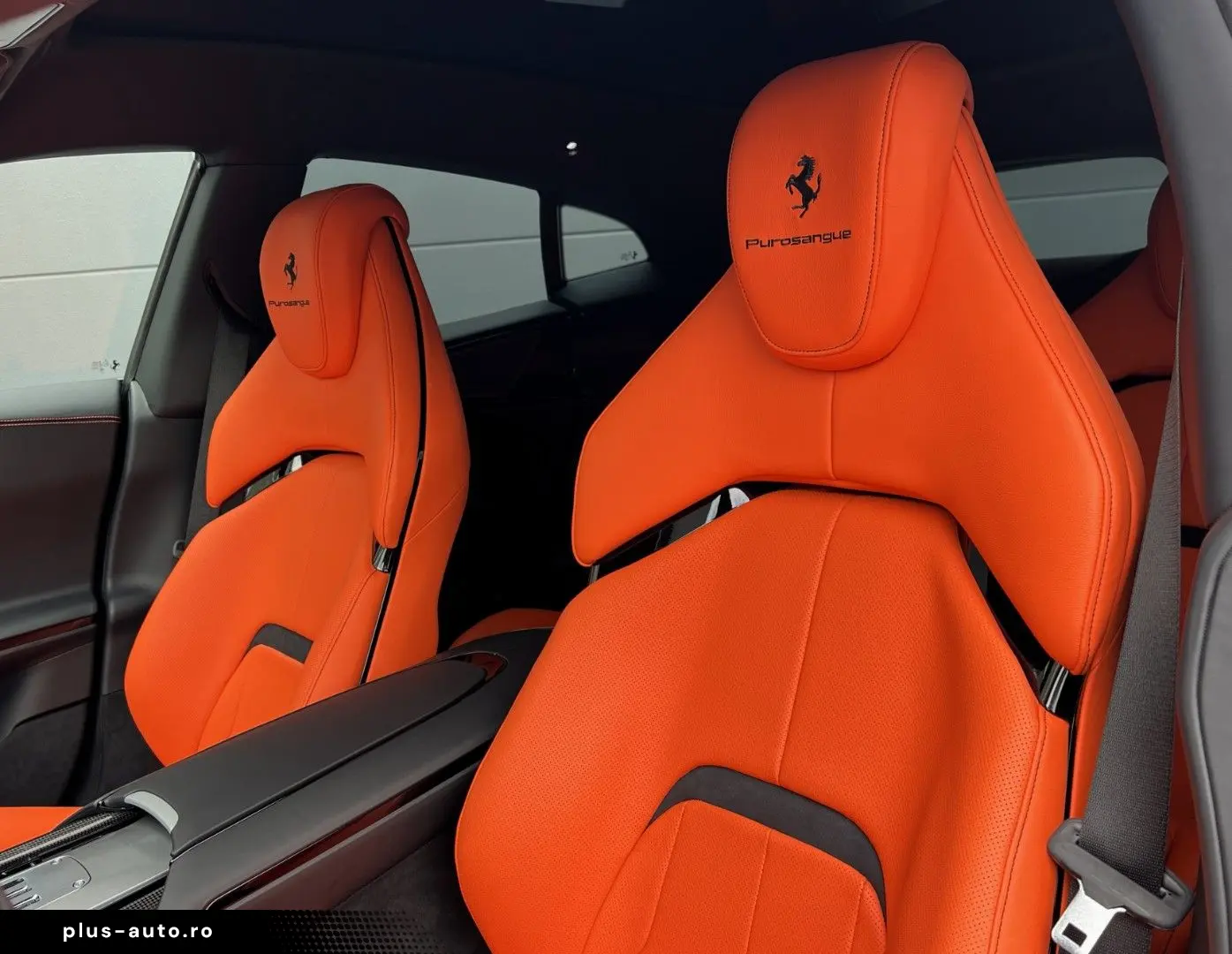 FERRARI Purosangue