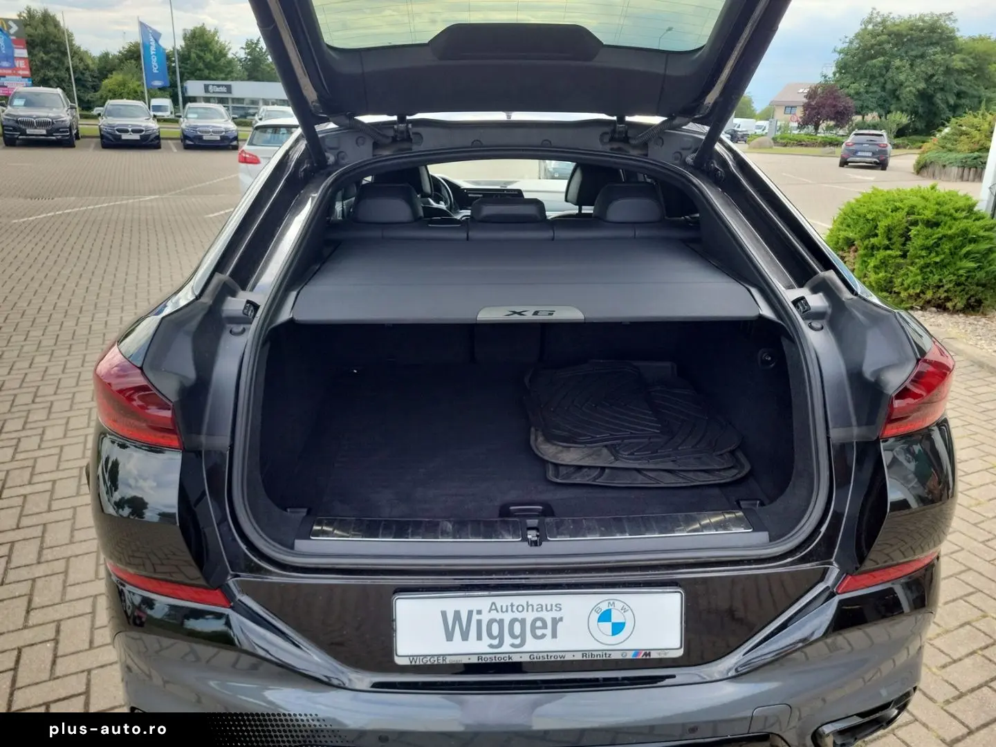 BMW X6 xDr30d MSpo Laser DAProf