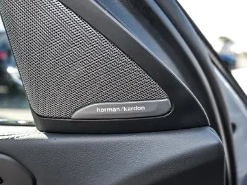 BMW X6 xDr30d MSpo Massage Ventilation Carbon CraftedCl H&K
