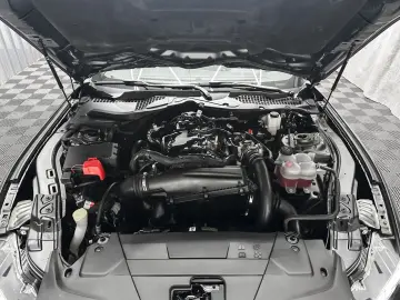 FORD Mustang DARK HORSE look  2.3