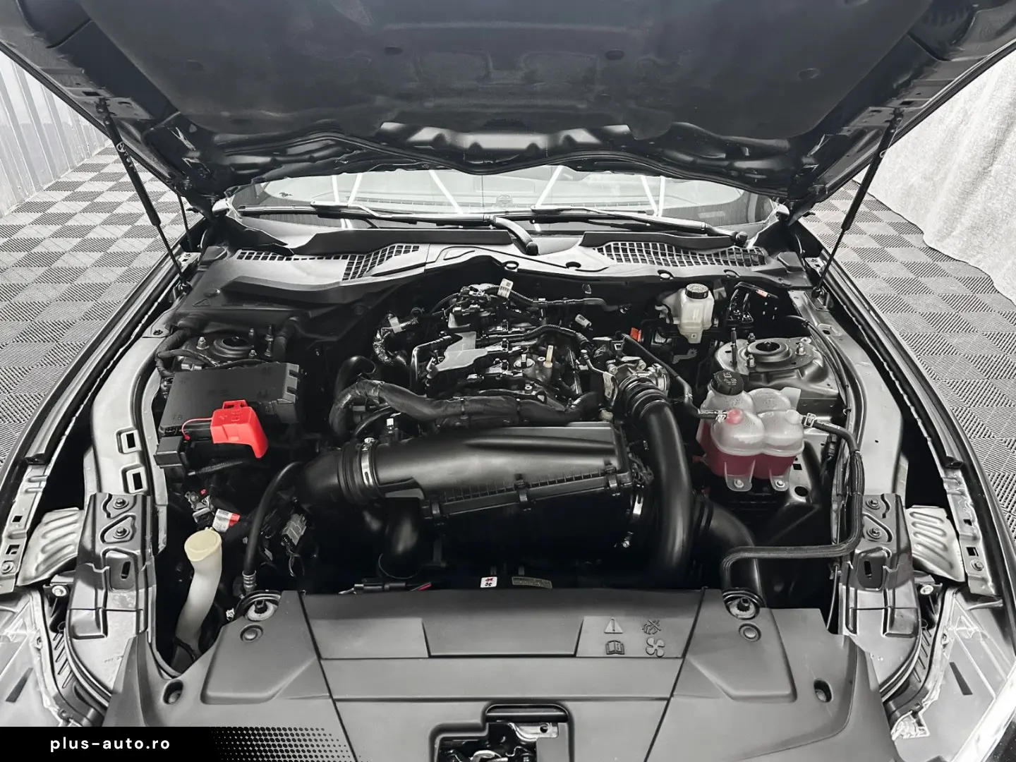 FORD Mustang DARK HORSE look  2.3