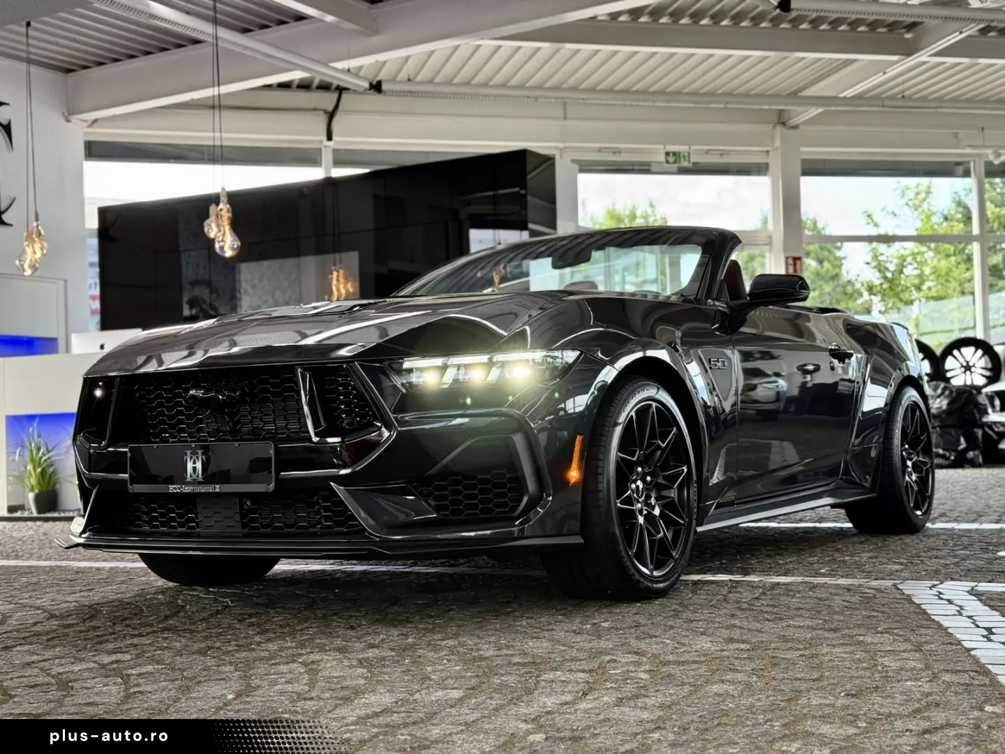 FORD Mustang 5.0 GT V8 US-Variante 487 PS ohne OPF