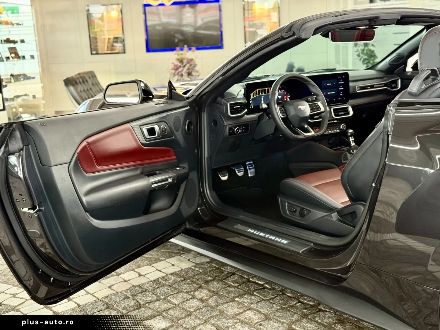 FORD Mustang 5.0 GT V8 US-Variante 487 PS ohne OPF