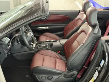 FORD Mustang 5.0 GT V8 US-Variante 487 PS ohne OPF