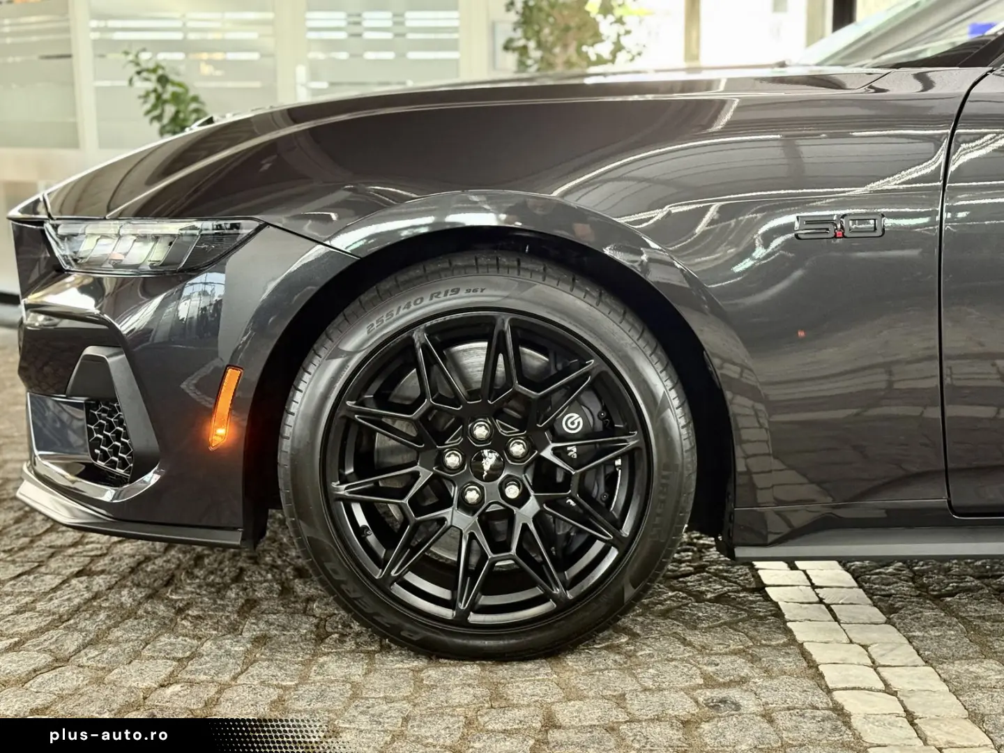 FORD Mustang 5.0 GT V8 US-Variante 487 PS ohne OPF