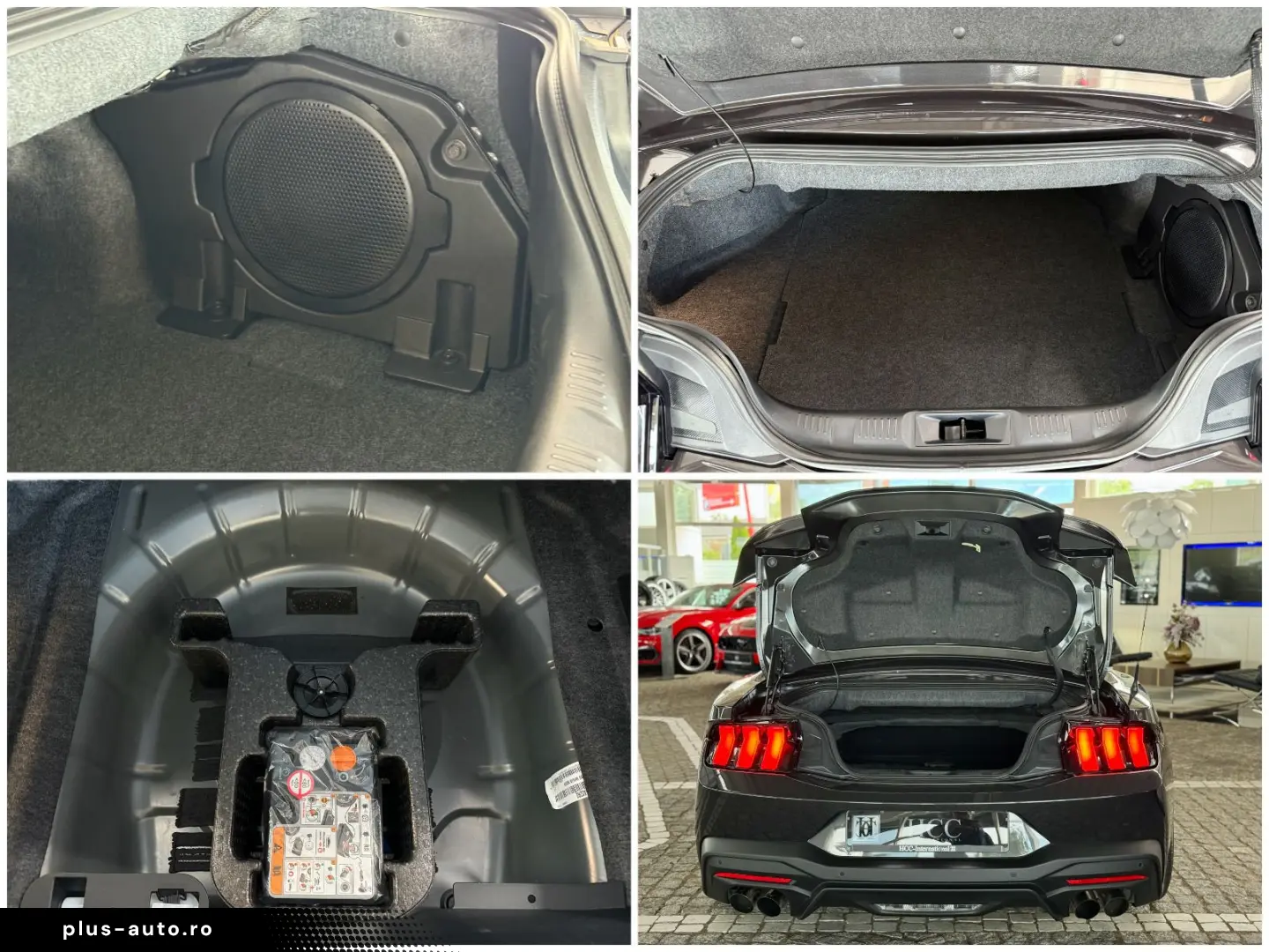 FORD Mustang 5.0 GT V8 US-Variante 487 PS ohne OPF
