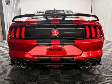 FORD Mustang 2.3 GT 500 Shelby look