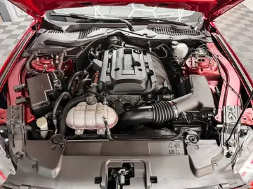 FORD Mustang 2.3 GT 500 Shelby look