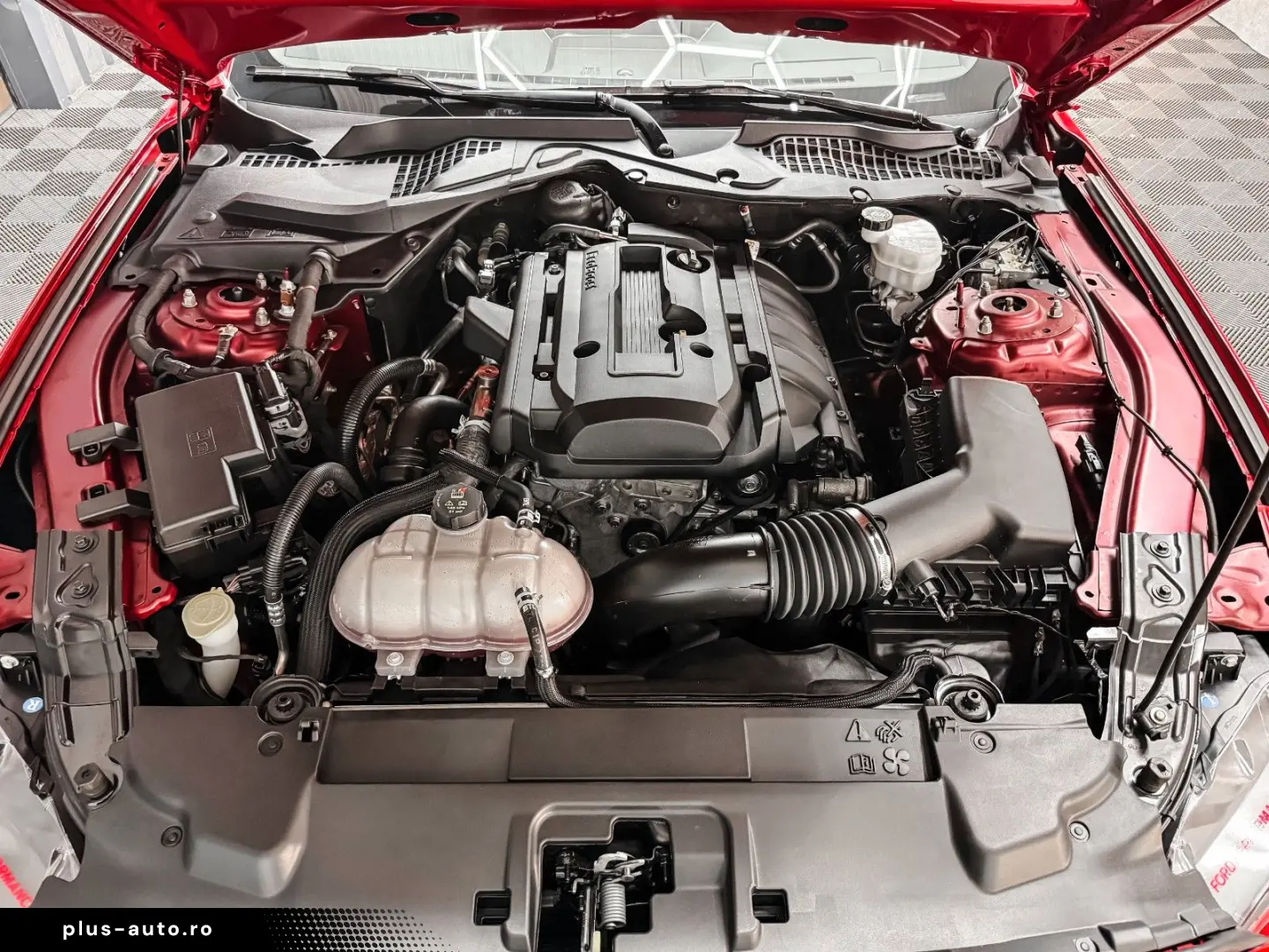 FORD Mustang 2.3 GT 500 Shelby look