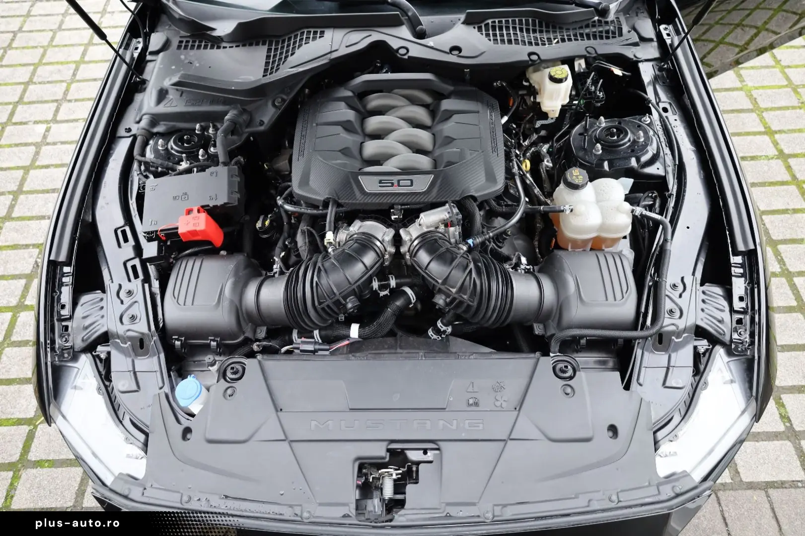 FORD Mustang 5.0 Ti-VCT V8 GT ACC TTW SHZ LHZ B&O R20