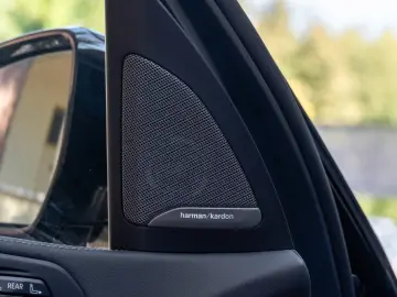 BMW X7 40d M SPORT.LUFTF.SOFTC.PANO.DR.ASS.AHK.5 100