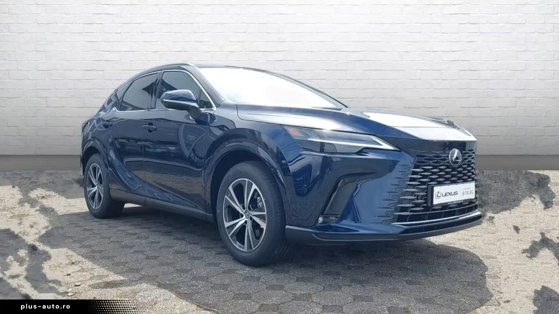 Lexus RX 450 h h  E-Four Business Line 15 Jahre