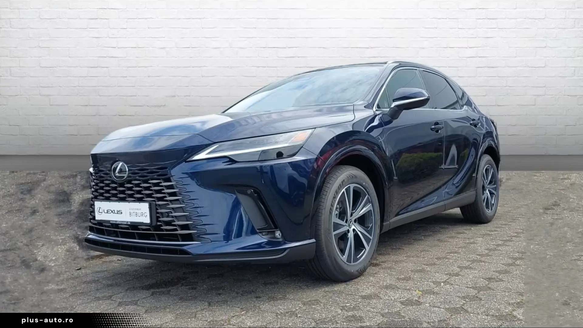 Lexus RX 450 h h  E-Four Business Line 15 Jahre