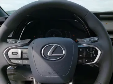 Lexus RX 450 h h  E-Four Business Line 15 Jahre