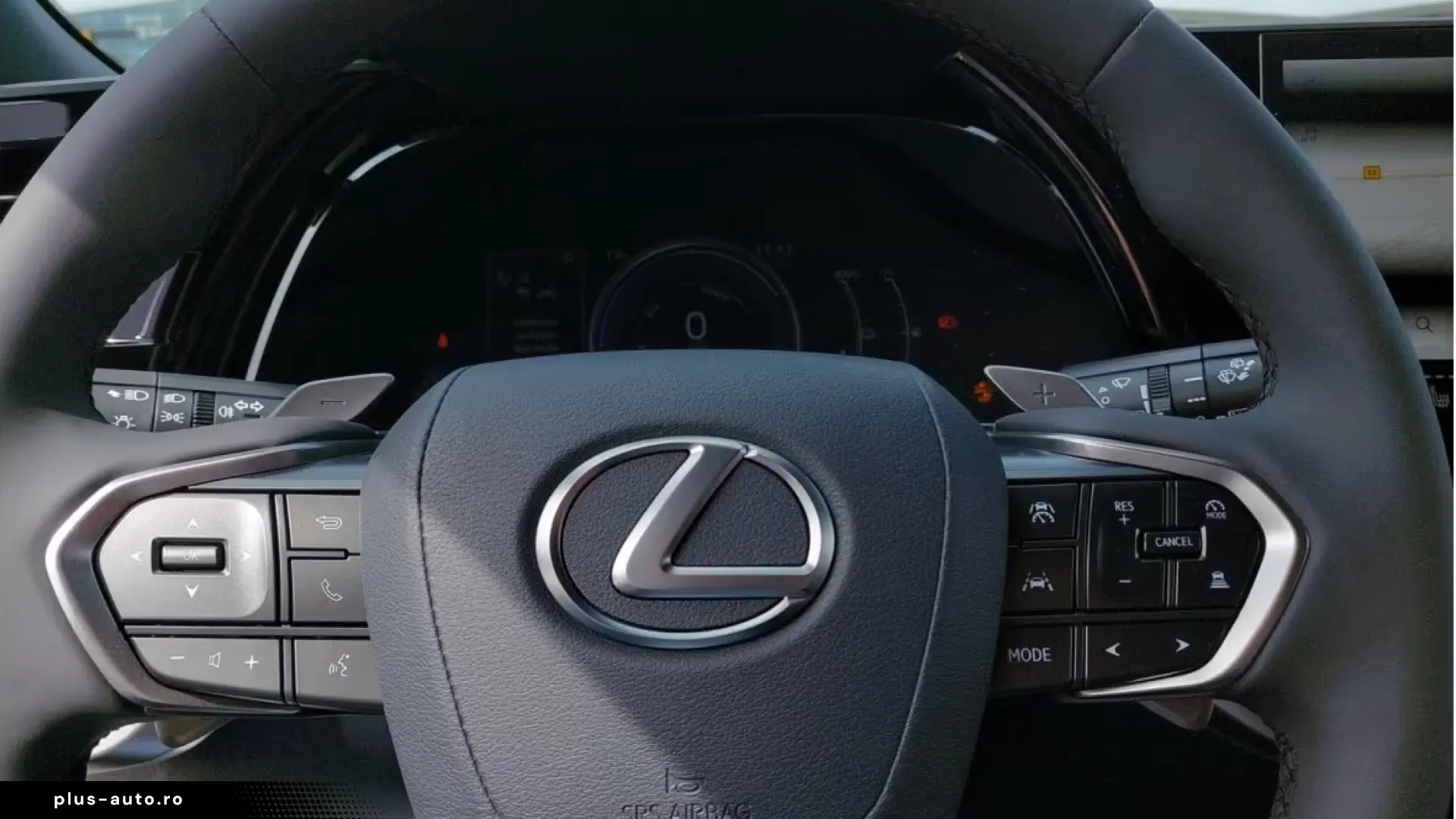 Lexus RX 450 h h  E-Four Business Line 15 Jahre
