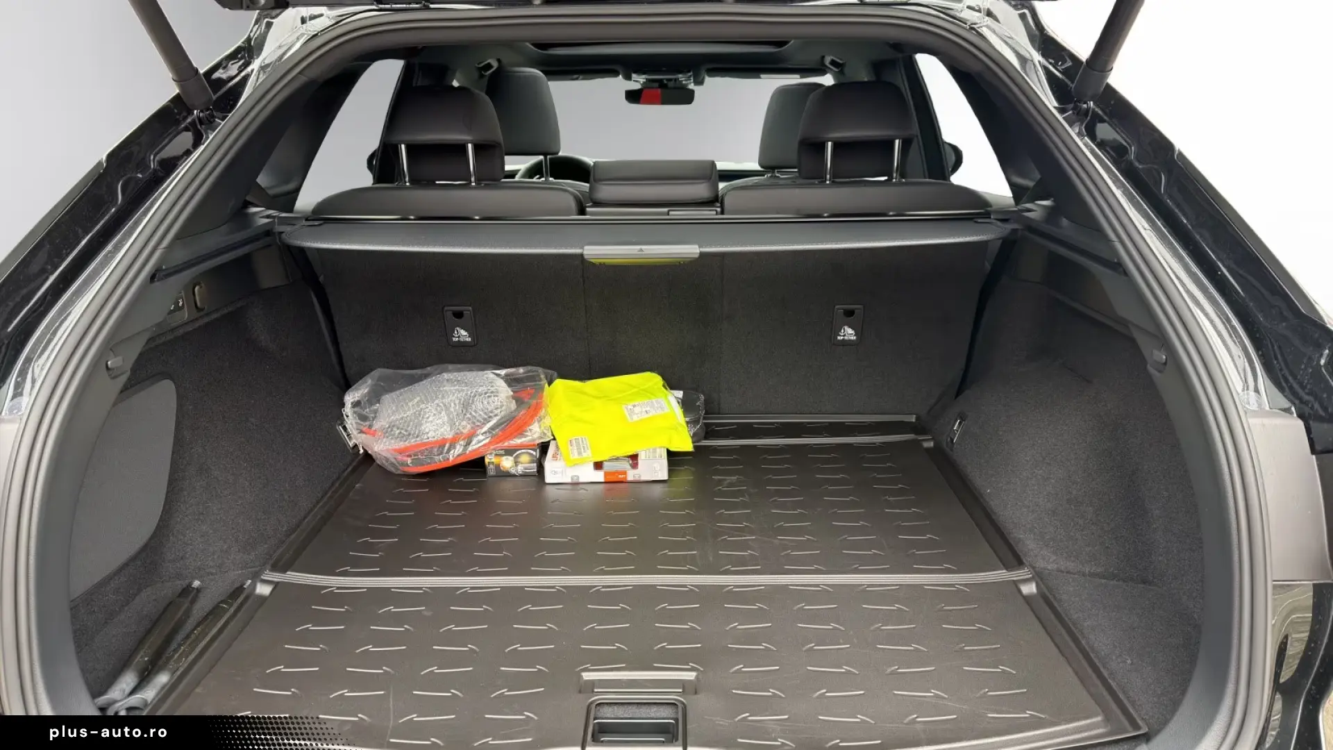 Lexus RX 450 h  F SPORT Design