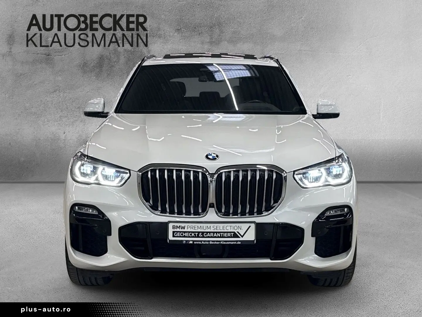 BMW X5 30 d M Sportpaket HUD AD AHK-klappbar El. Pan