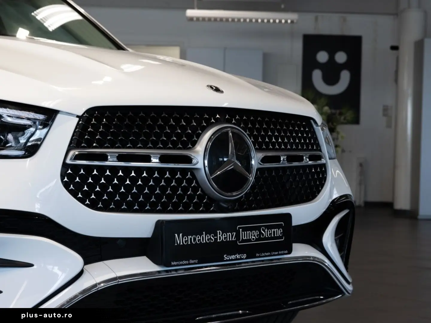 MERCEDES-BENZ GLE 300 d 4M