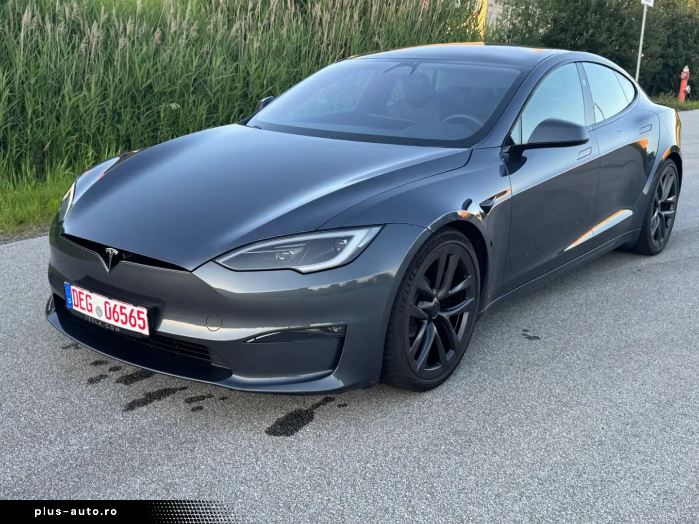TESLA Model S PALLADIUM   21  Arachnid   HW4   EAP AUT