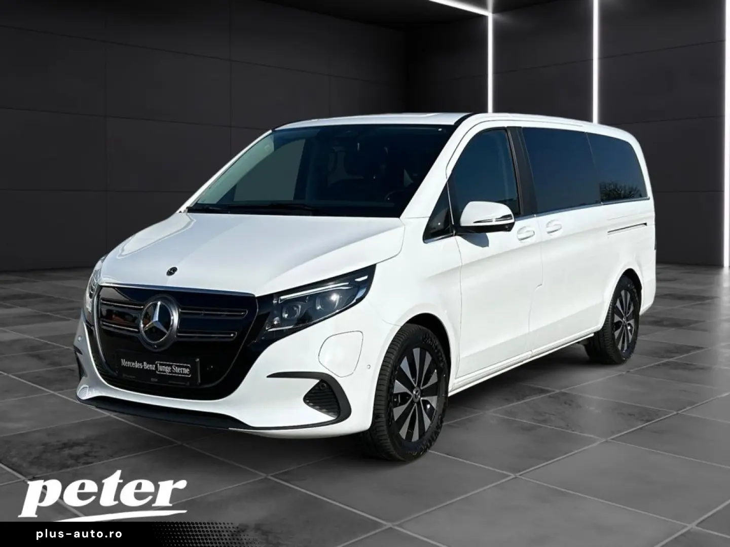 MERCEDES-BENZ EQV 300 AVANTGARDE Lang LED LIEGE DISTR KAMERA