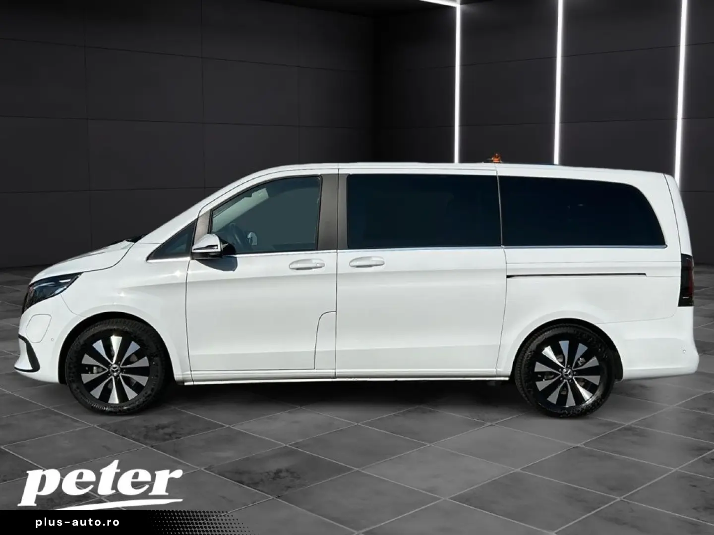 MERCEDES-BENZ EQV 300 AVANTGARDE Lang LED LIEGE DISTR KAMERA