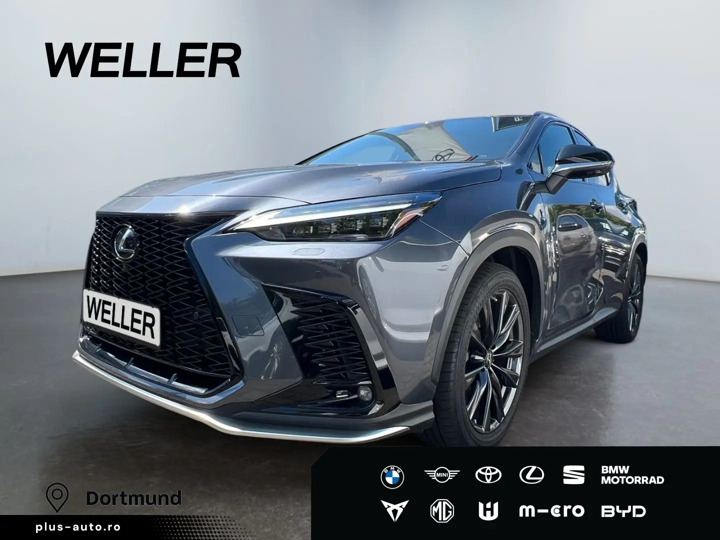 LEXUS NX 450h  E-FOUR F SPORT Paket  360  20Zoll HUD