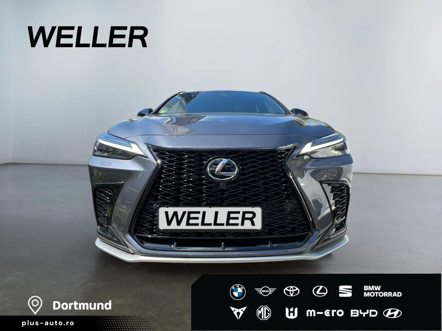 LEXUS NX 450h  E-FOUR F SPORT Paket  360  20Zoll HUD