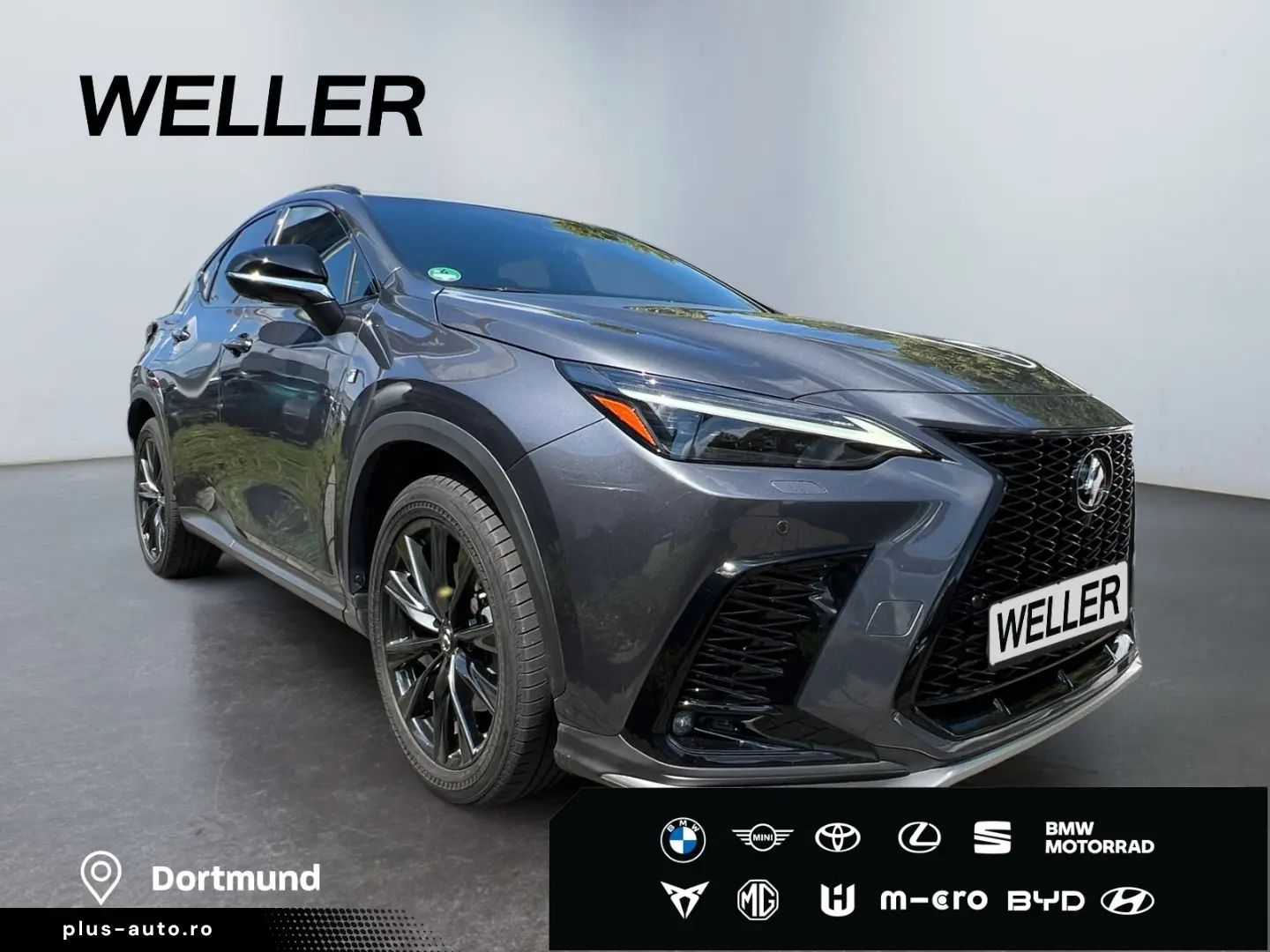 LEXUS NX 450h  E-FOUR F SPORT Paket  360  20Zoll HUD