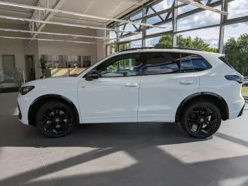 VW Tiguan 2.0TDI R-Line 4M Pano Black AHK Matrix 20