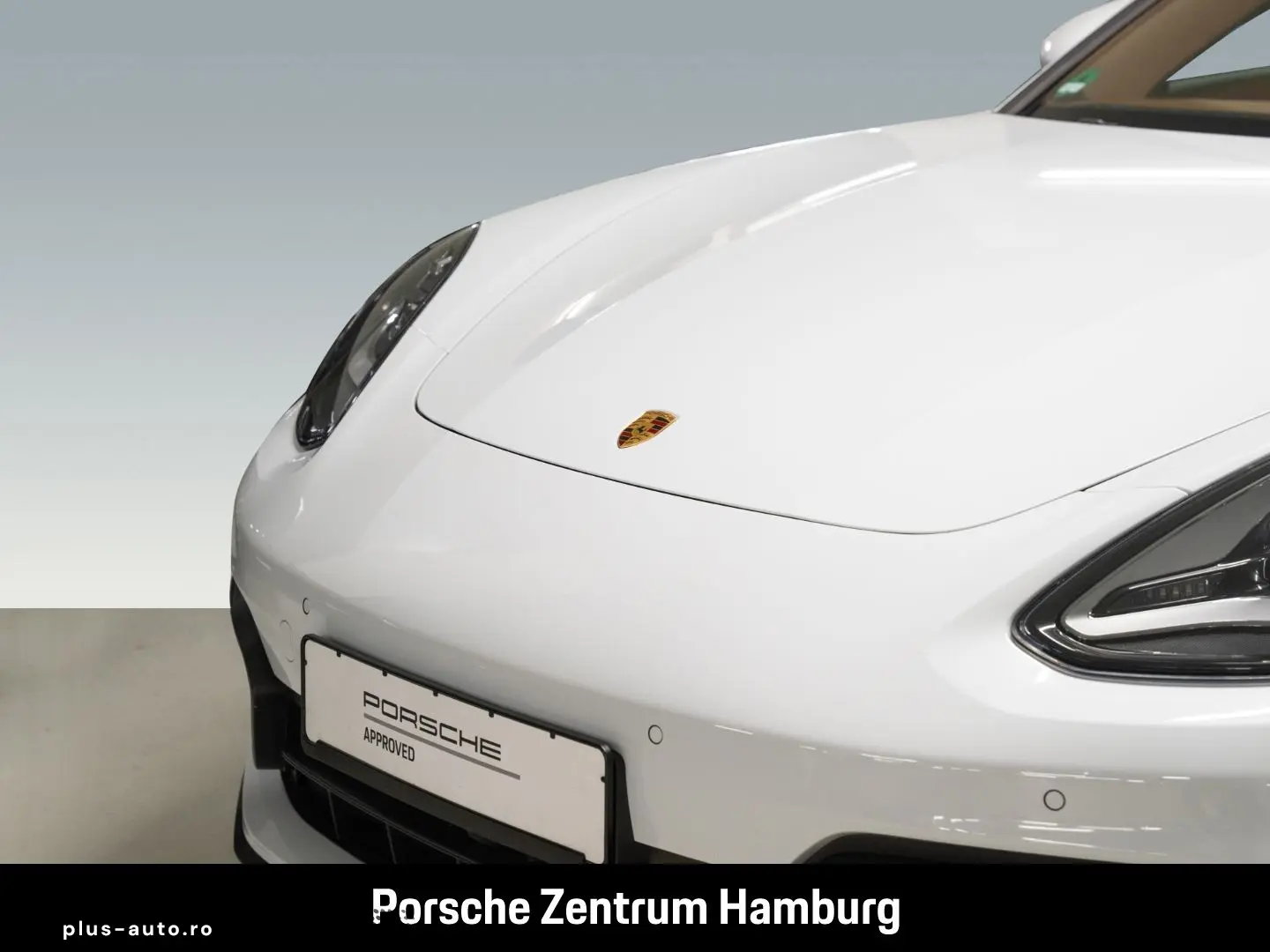 PORSCHE Panamera 4S E-Hybrid Sportabgas PDLS BOSE 21-Zol