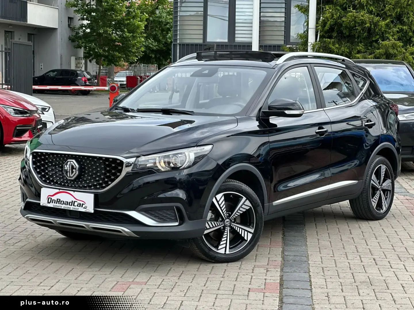 Mg Zs-Ev