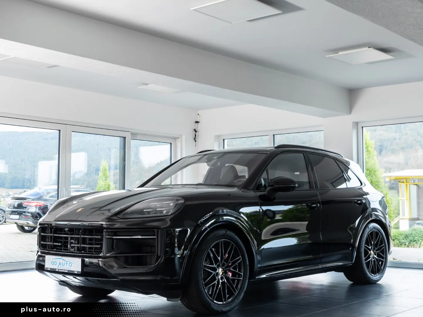 PORSCHE Cayenne S e-Hybrid SportDesign DVD im Fond AHK